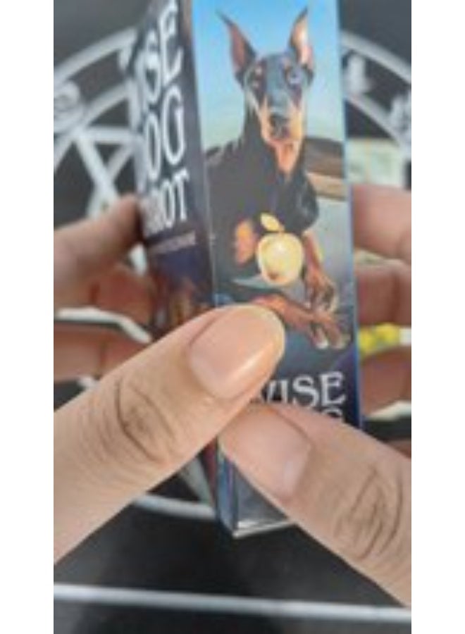 NIBEMINENT Wisdom Dog Tarot Cards  - Image 1