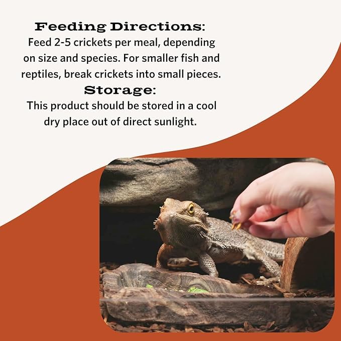 Fluker's Freeze Dried Crickets, Ideal for Reptiles, Birds, and Fish, Packed with Protein and Essential Nutrients, 1.2 oz - Image 3