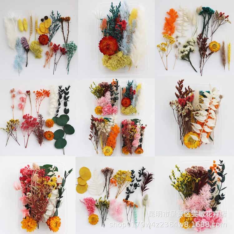 Floating Flower Dried Flower Eternal Flower Diy Drop Glue Filling Flower Material Mini Embossing Material Yunnan Dried Flower - Image 3