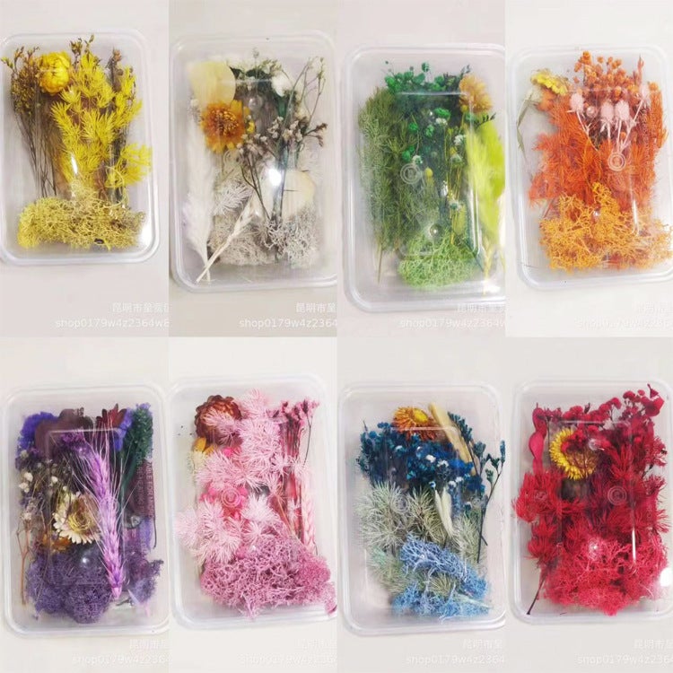 Floating Flower Dried Flower Eternal Flower Diy Drop Glue Filling Flower Material Mini Embossing Material Yunnan Dried Flower - Image 2