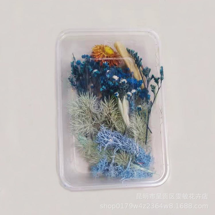 Floating Flower Dried Flower Eternal Flower Diy Drop Glue Filling Flower Material Mini Embossing Material Yunnan Dried Flower - Image 1