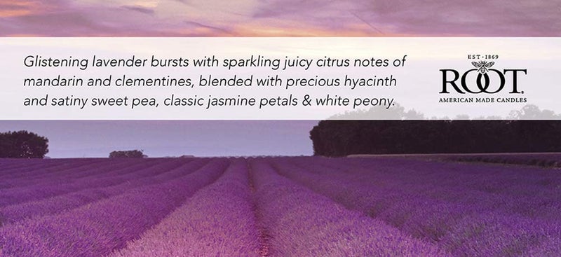 Root Candles Scented Candles Honeycomb Veriglass Premium Handcrafted Beeswax Blend Candle, Large, Lavender Vanilla - Image 2