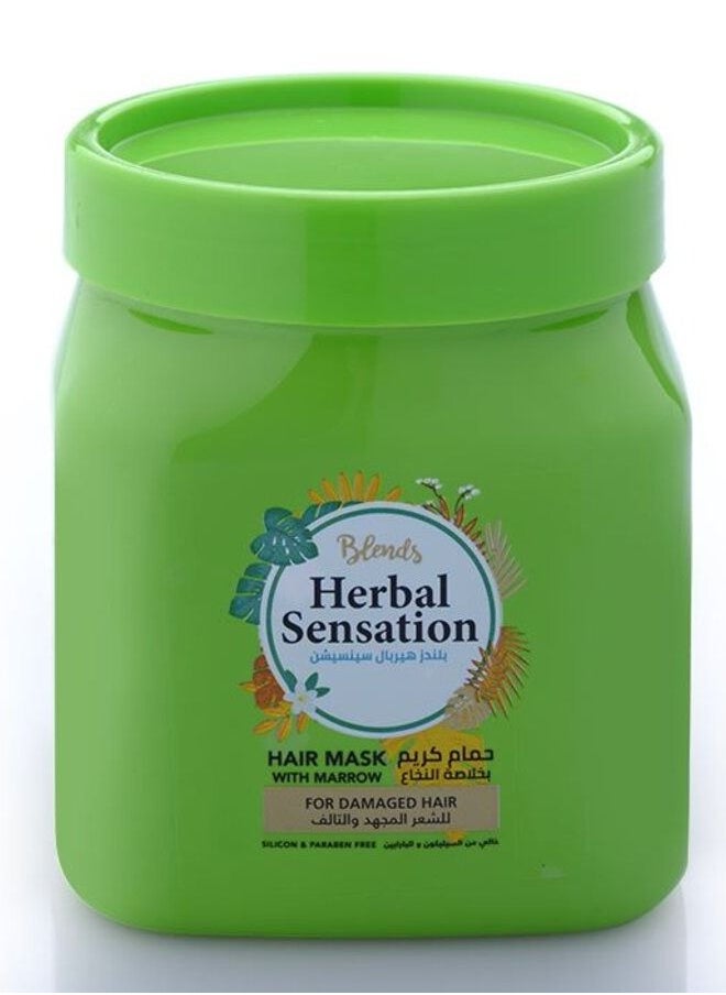 Blends - Blends Herbal Sensation Hair Mask 600ML Marrow - Image 1