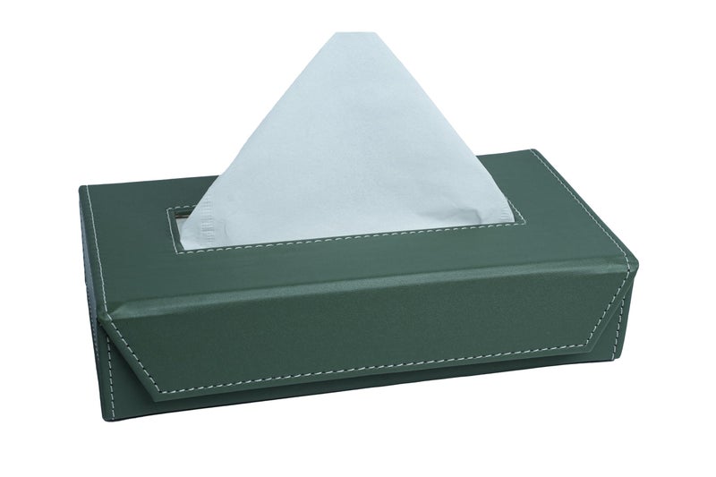 LEEZEL Tissue Box Holder - Tissue Holder - Car Tissue Box Holder - Tissue Dispenser for Bathroom - Leather Tissue Box - Napkin Box (Complementary- 2 Ply 100 Pulls Facial Tissue) (Mint) - Image 1