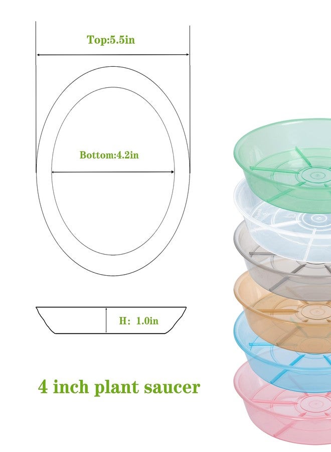 Afrine Plant Saucer, Plant Saucers 4 inch, Plant-Saucers - Image 2