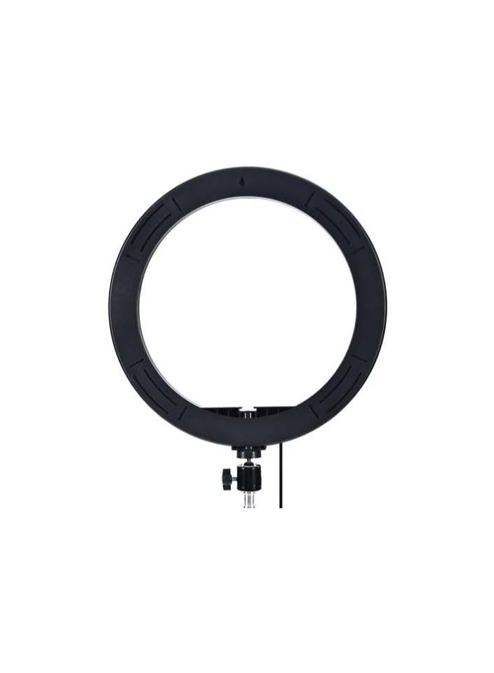 LED Ring Light 10" DX-260 With Tripod - Image 4