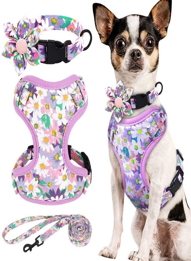 Beirui Cute Girl Dog Collars, Harnesses & Leashes Set - Adjustable Dog Collar and Leash Set with Flower - Soft Mesh Dog Vest Harness for Puppies Small & Extra Small Dogs Cats (Purple,XXS) - Image 1