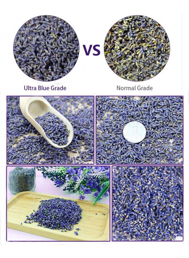 TooGet Fragrant Lavender Buds Natural Dried Flowers Wholesale, Ultra Blue Grade - 1/2 Pound