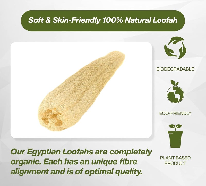 100% Natural Egyptian Loofah Organic, Chemical-Free Pads, Eco-Friendly Exfoliating for Bath Spa, Massage and Shower, Ideal for Men, Women & Kids (Wet Long) - Image 5