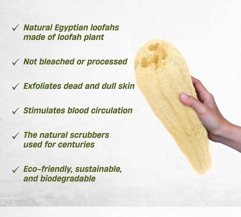 100% Natural Egyptian Loofah Organic, Chemical-Free Pads, Eco-Friendly Exfoliating for Bath Spa, Massage and Shower, Ideal for Men, Women & Kids (Wet Long) - Image 4