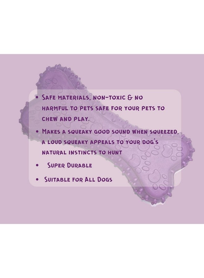 Natural Latex Rubber Squeaky (Prickle Bone) Dog Toy | Suitable For Puppy, Cats, Kitten | Durable, Bone Design, Fetch & Chew Safe Play Toy - Image 4