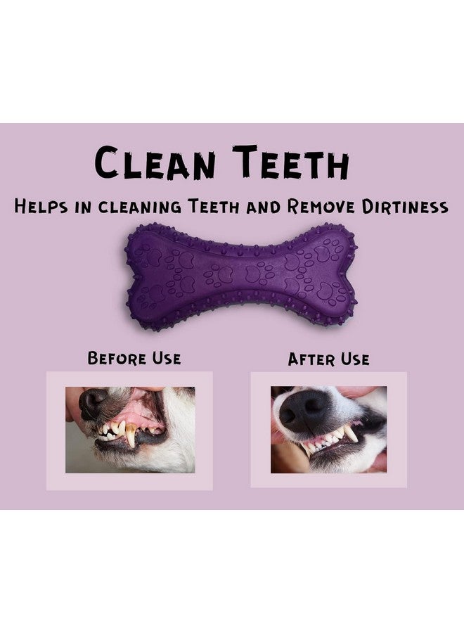 Natural Latex Rubber Squeaky (Prickle Bone) Dog Toy | Suitable For Puppy, Cats, Kitten | Durable, Bone Design, Fetch & Chew Safe Play Toy - Image 5