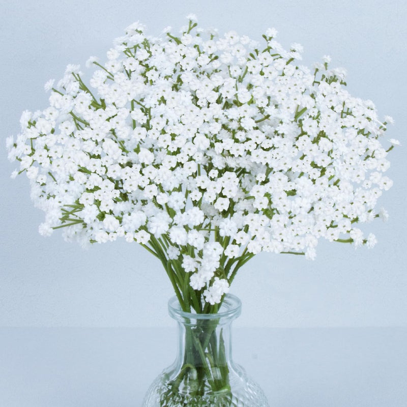 MAQIHAN MAQIAHN 6 Baby Breath Artificial Flowers - Babies Breath Flowers Artificial Bulk Faux Flowers Bouquet White Flores Greenery Real Touch Fake Flowers Arrangements Wedding Centerpieces Tables Decorations - Image 1