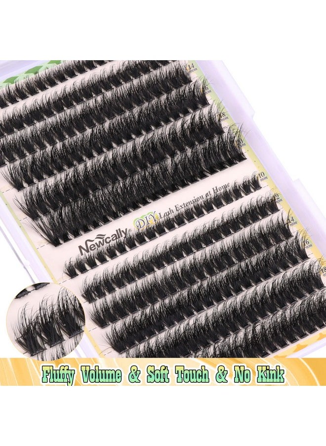 Newcally - Fluffy Lash Extensions Kit 240 Pcs Wispy Cluster Lashes 1020Mm Individual Eyelashes Cluster Eyelash Extensions With Lash Glue Bond And Seal Tweezers (70D+80D) By Newcally - Image 1