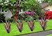 LCJECV Metal Agave Plant Garden Art 2 Pack Big Tequila Rustic Sculpture Rustic Metal Agave Plants Lawn Home Ornaments for Yard Stakes Garden Figurines Outdoor Patio 2 PCS Colorful with Light - Image 2