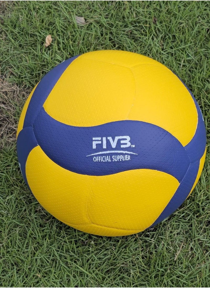 Mikasa FiVB Official Training Volleyball 