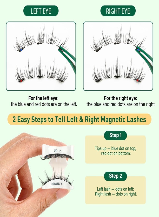KEYYOU Reusable Magnetic Eyelashes 2 Pair with Applicator No Glue Needed 3D Natural Magnetic Lashes, Easy to Apply & Long Lasting for Daily Use & Events(A01+A02) - Image 5
