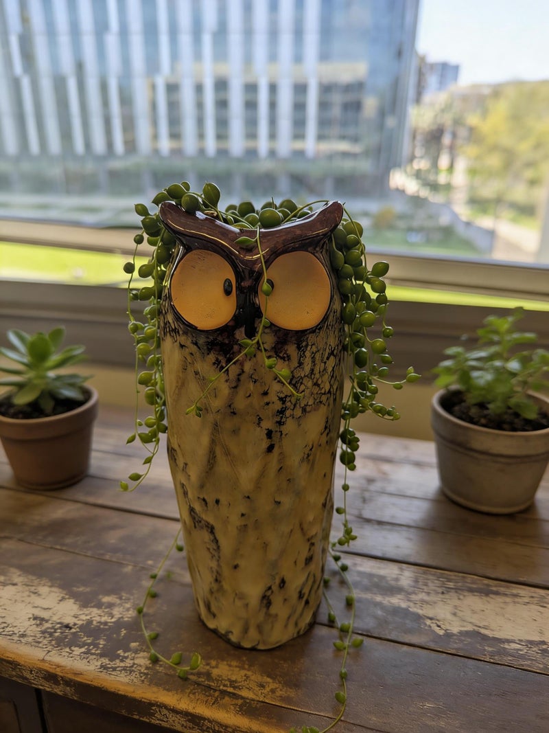 GeLive 9 Inch Owl Ceramic Vase, Farmhouse Flower Vase, Retro Owl Planter, String Pearl Succulent Pot for Bud Cutting Hydroponic Plant, Indoor Outdoor Home Decor, Cute Owl Fun Animal Cartoon Gift - Image 5