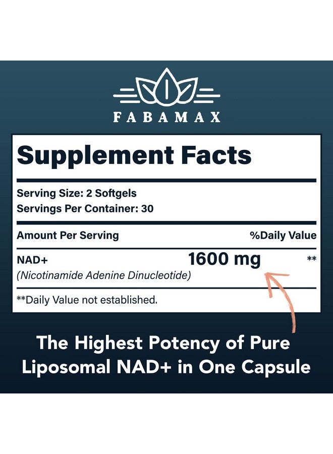 Fabamax Liposomal NAD+ Supplement 1600mg – 98% Pure NAD+ for Energy, Aging Support & Longevity – 20X Better Absorption – Alternative to NADH & NR – 60 Softgels – Anti-Aging Wellness Booster - Image 2