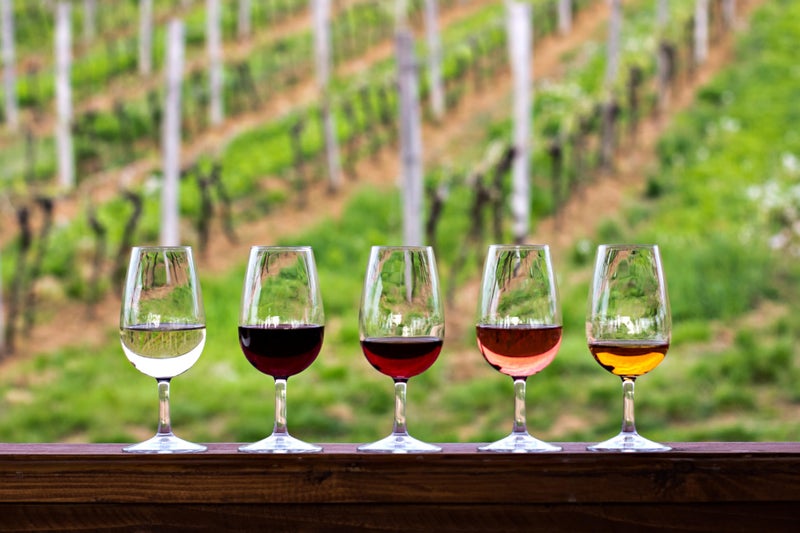 Ravenscroft Architectural Digest 2022 Best Glass, Set of 12 European, Lead-Free Crystalline INAO Wine Tasting Glasses, Perfect for Wine Tasting Events, 7 Fl. Oz. - Image 3