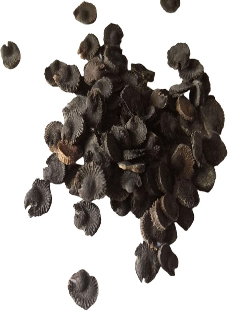 GGOOT 100Pcs/Bag Blue Flower Seed Rare High Yield Seed Plants Potted Bonsai Seed for Garden Seed for Courtyard - Image 3