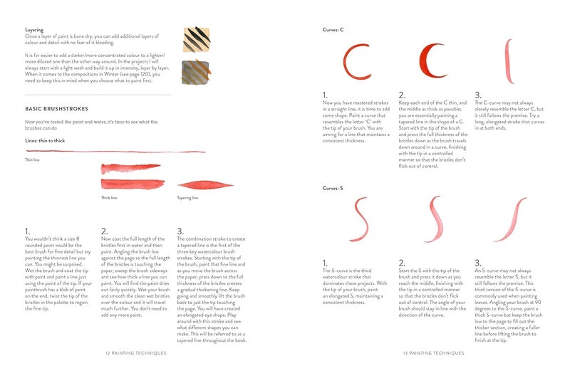 A Year of Watercolour: A Seasonal Guide to Botanical Watercolour Painting - Image 2