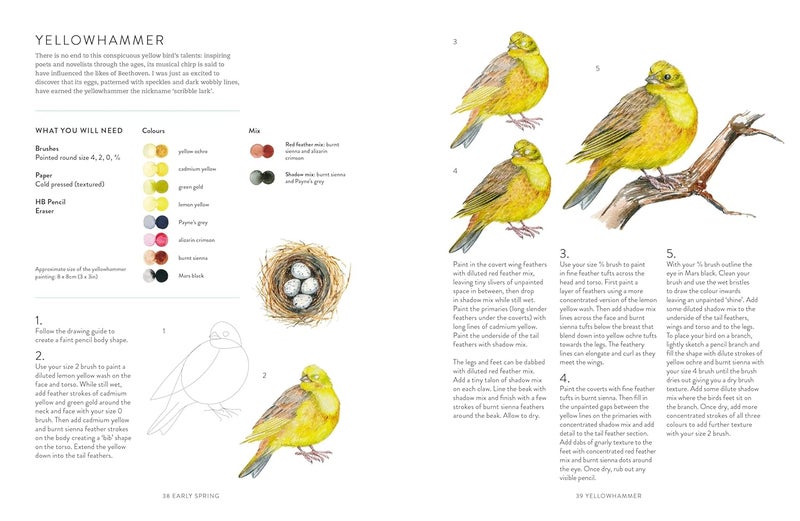 A Year of Watercolour: A Seasonal Guide to Botanical Watercolour Painting - Image 5