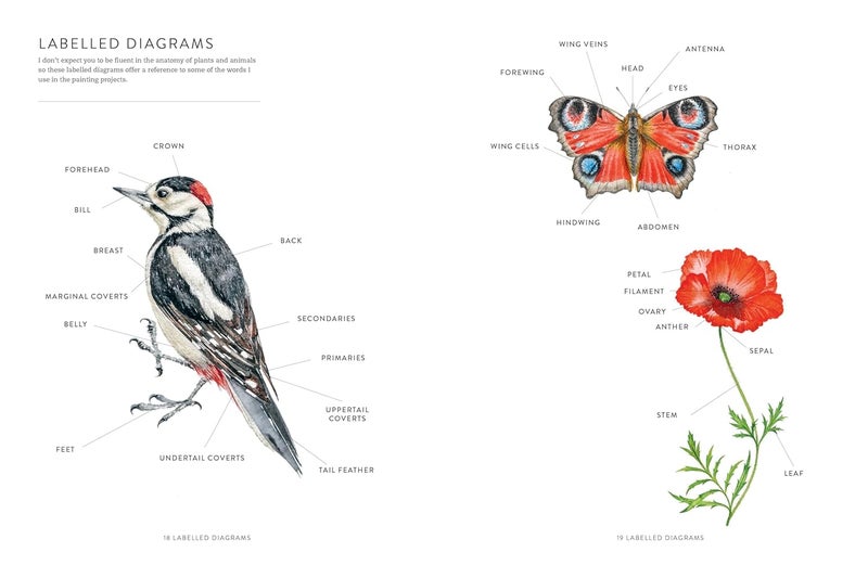 A Year of Watercolour: A Seasonal Guide to Botanical Watercolour Painting - Image 3
