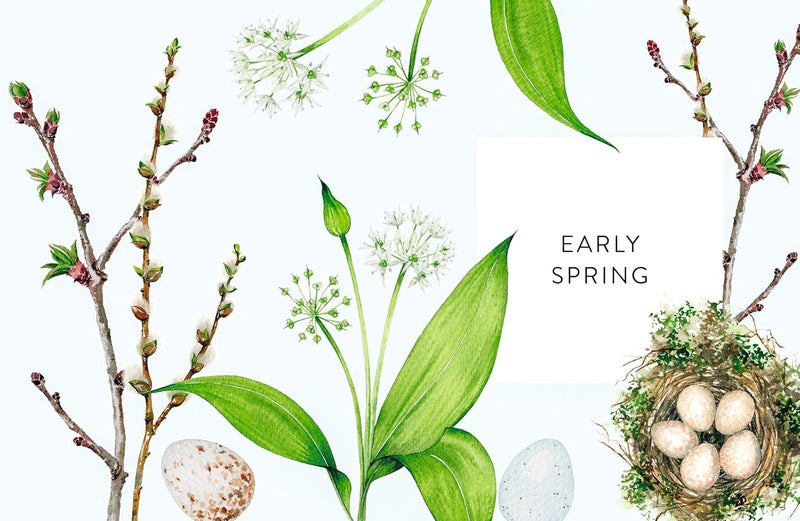 A Year of Watercolour: A Seasonal Guide to Botanical Watercolour Painting - Image 4
