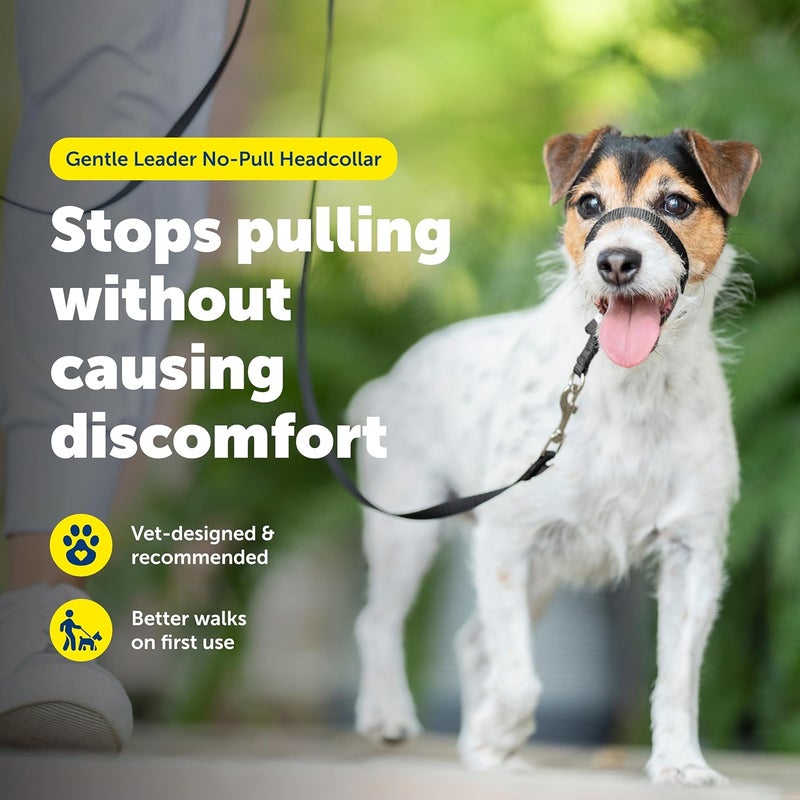 PetSafe Gentle Leader Headcollar - No-Pull Dog Collar for Leash & Harness Training - Small, Black - Image 2