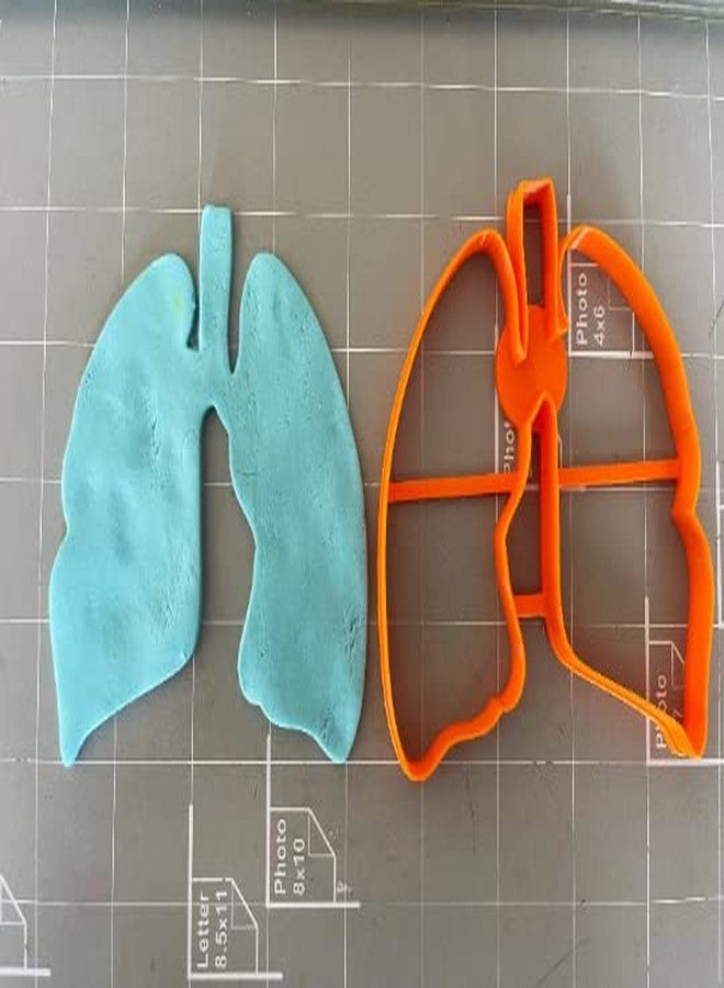 Cookie Cutz Lung Anatomy Outline Cookie Cutter - Image 3