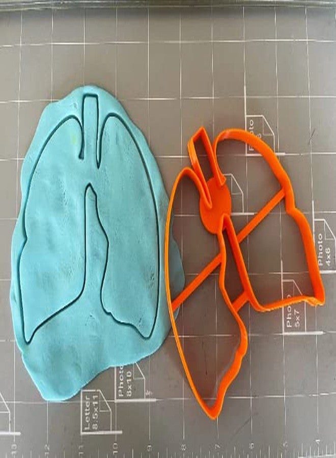 Cookie Cutz Lung Anatomy Outline Cookie Cutter - Image 2