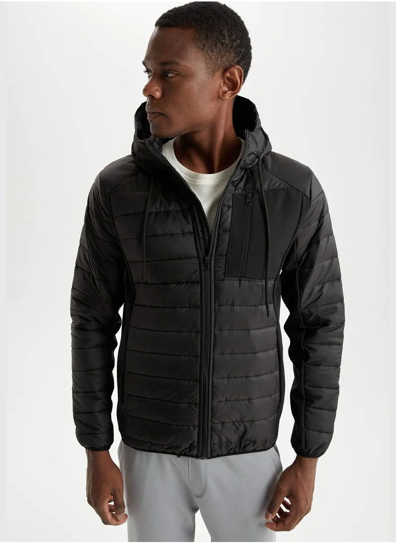 DeFacto Standard Fit Long Sleeve Padded Coat
