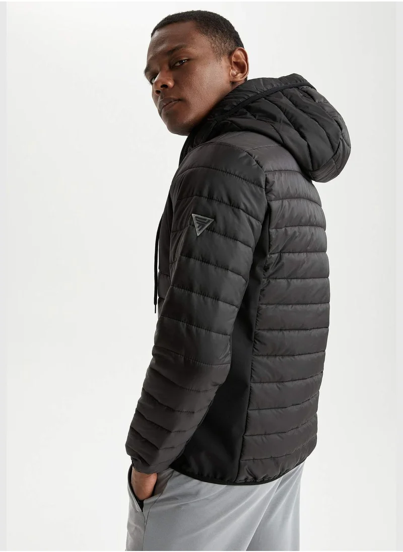 DeFacto Standard Fit Long Sleeve Padded Coat