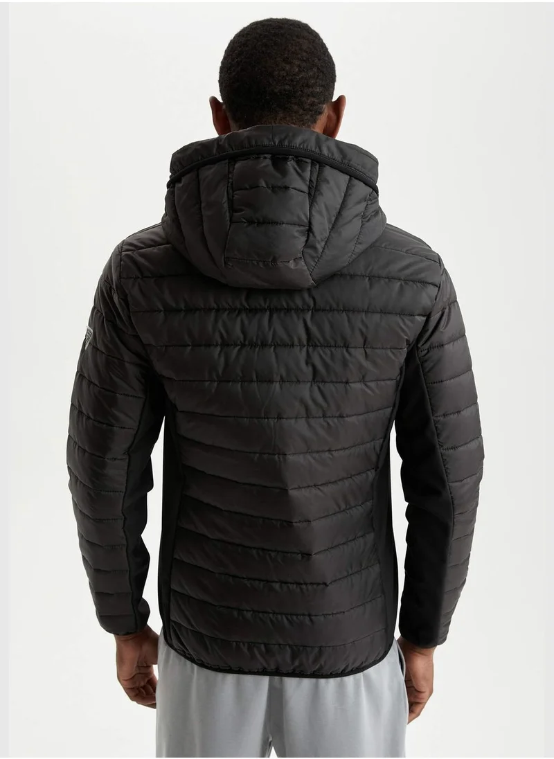 DeFacto Standard Fit Long Sleeve Padded Coat