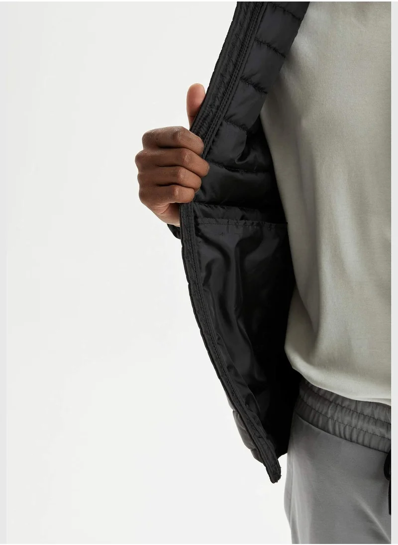 DeFacto Standard Fit Long Sleeve Padded Coat