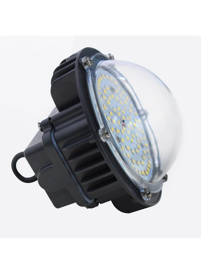 Forus 40W LED Well Glass Light (Warm White) - 5-Year Warranty | Industrial High Bay Hanging Light for Warehouses, Commercial Spaces, Factories, Sheds | Energy-Efficient Wellglass Shed Lights (1PC) - Image 1