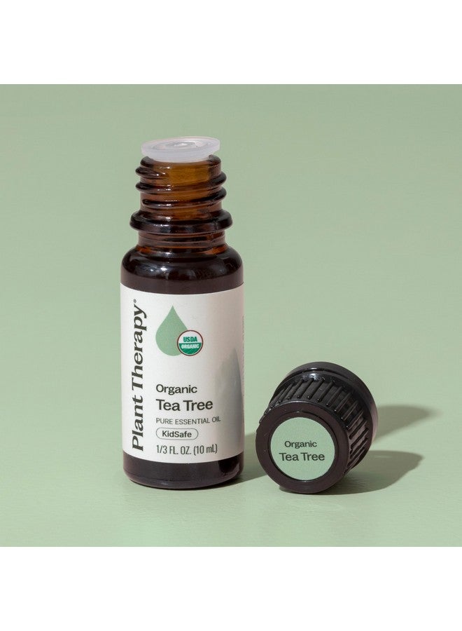 Plant Therapy Organic Tea Tree Oil (Melaleuca) 100% Pure, USDA Certified Organic, Undiluted, Natural Aromatherapy for Skin, Hair, and Toenails, Therapeutic Grade 10 mL (1/3 oz) - Image 4