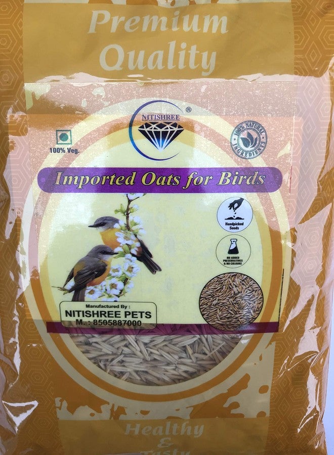 بذور الشوفان الممتازة المستوردة من نيتيشري، مناسبة لجميع مراحل حياة الطيور (1000 غرام)، طعام مثالي للعصافير، والببغاوات الأسترالية، والكونيور، وطيور الحب، والكوكاتيل، والببغاء الرمادي الأفريقي، والمكاو، والكوكاتو. - Image 3