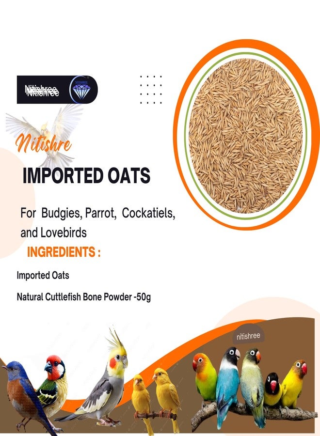 بذور الشوفان الممتازة المستوردة من نيتيشري، مناسبة لجميع مراحل حياة الطيور (1000 غرام)، طعام مثالي للعصافير، والببغاوات الأسترالية، والكونيور، وطيور الحب، والكوكاتيل، والببغاء الرمادي الأفريقي، والمكاو، والكوكاتو. - Image 5