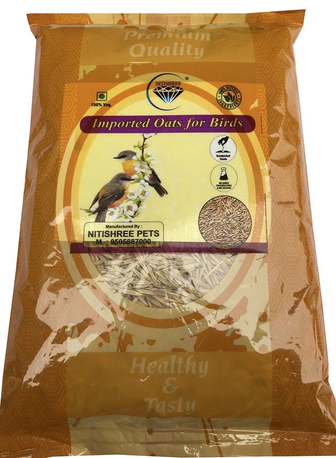 بذور الشوفان الممتازة المستوردة من نيتيشري، مناسبة لجميع مراحل حياة الطيور (1000 غرام)، طعام مثالي للعصافير، والببغاوات الأسترالية، والكونيور، وطيور الحب، والكوكاتيل، والببغاء الرمادي الأفريقي، والمكاو، والكوكاتو. - Image 4
