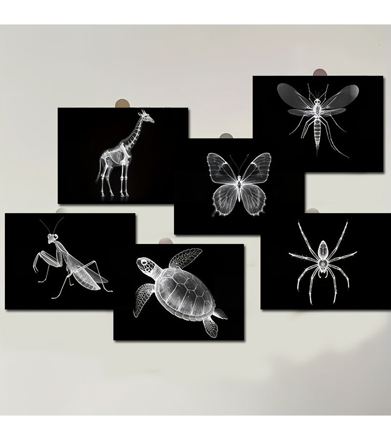 20 Pcs 4x6 Inch Animal Skeleton Postcards Set For Home Office And Classroom Decor - Image 4