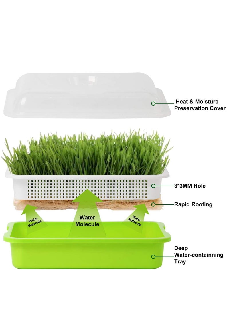 5Pc Seed Sprouter Tray with Lid Seed Germination Tray BPA Free PP Soil-Free Big Capacity Healthy Wheatgrass Grower with Lid Sprouting Kit 32X24X12Cm