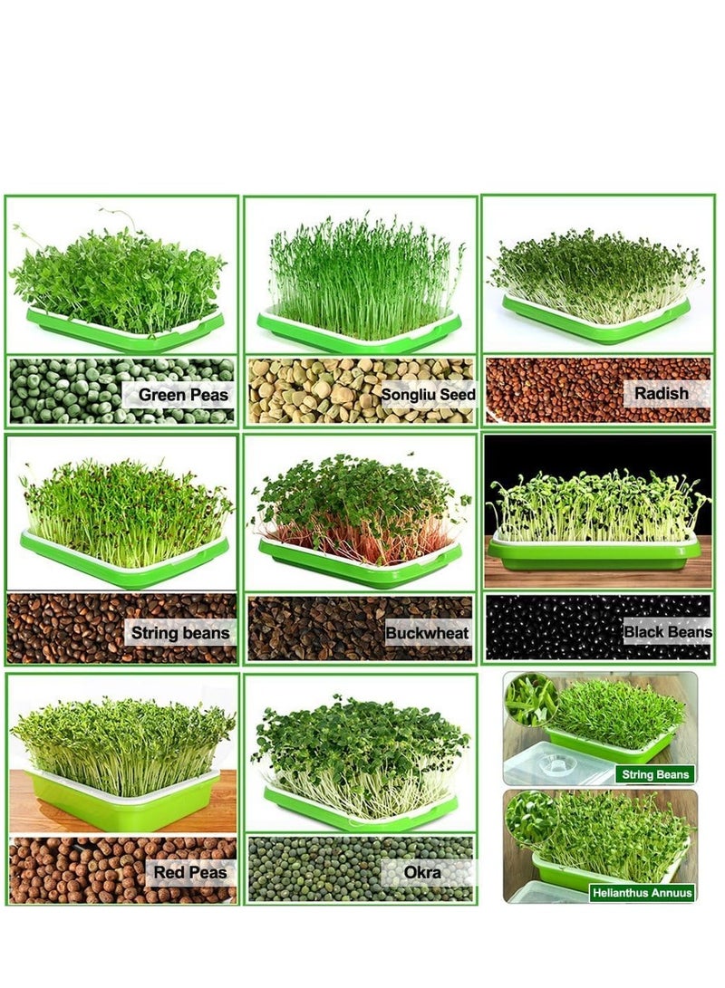 5Pc Seed Sprouter Tray with Lid Seed Germination Tray BPA Free PP Soil-Free Big Capacity Healthy Wheatgrass Grower with Lid Sprouting Kit 32X24X12Cm