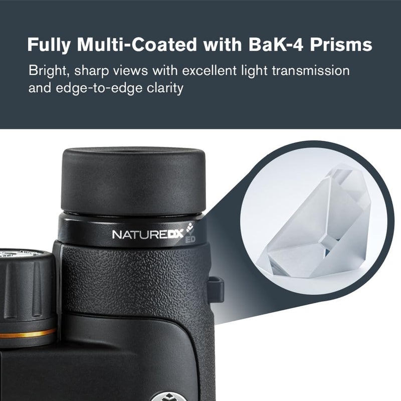 Celestron–Nature DX ED 12x50 Premium Binoculars Extra-Low Dispersion Objective Lenses–Outdoor and Birding Binocular–Fully Multi-coated with BaK-4 Prisms–Rubber Armored–Fog & Waterproof Binoculars - Image 4