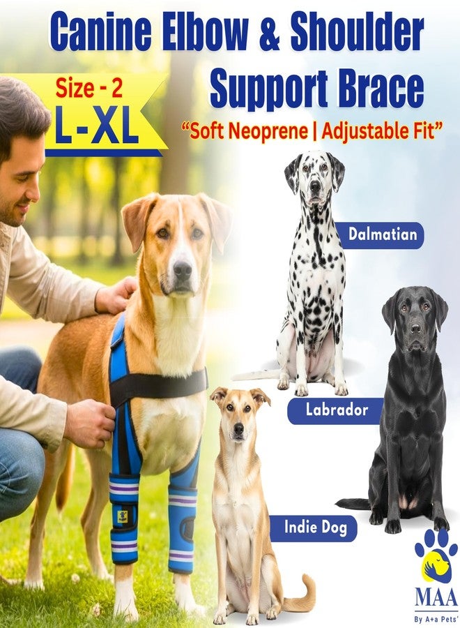 A+a Pets دعامة دعم الكوع والكتف للكلاب من A+a Pets' MAA' - رباط قابل للتعديل للساق الأمامية لالتهاب المفاصل، والتعافي بعد العمليات الجراحية، والمساعدة على الحركة - تصميم يسمح بالتهوية ومضاد للانزلاق (المقاس 2 (L-XL)) - Image 3