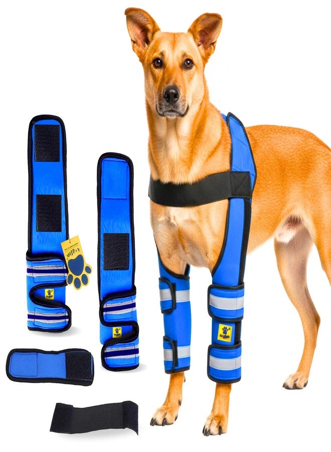 A+a Pets دعامة دعم الكوع والكتف للكلاب من A+a Pets' MAA' - رباط قابل للتعديل للساق الأمامية لالتهاب المفاصل، والتعافي بعد العمليات الجراحية، والمساعدة على الحركة - تصميم يسمح بالتهوية ومضاد للانزلاق (المقاس 2 (L-XL)) - Image 1