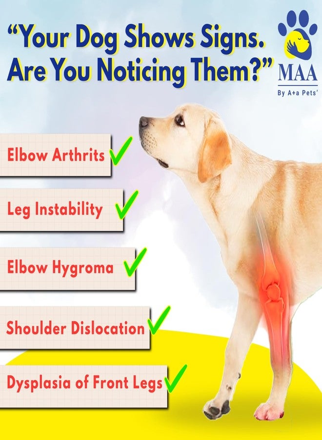 A+a Pets دعامة دعم الكوع والكتف للكلاب من A+a Pets' MAA' - رباط قابل للتعديل للساق الأمامية لالتهاب المفاصل، والتعافي بعد العمليات الجراحية، والمساعدة على الحركة - تصميم يسمح بالتهوية ومضاد للانزلاق (المقاس 2 (L-XL)) - Image 2