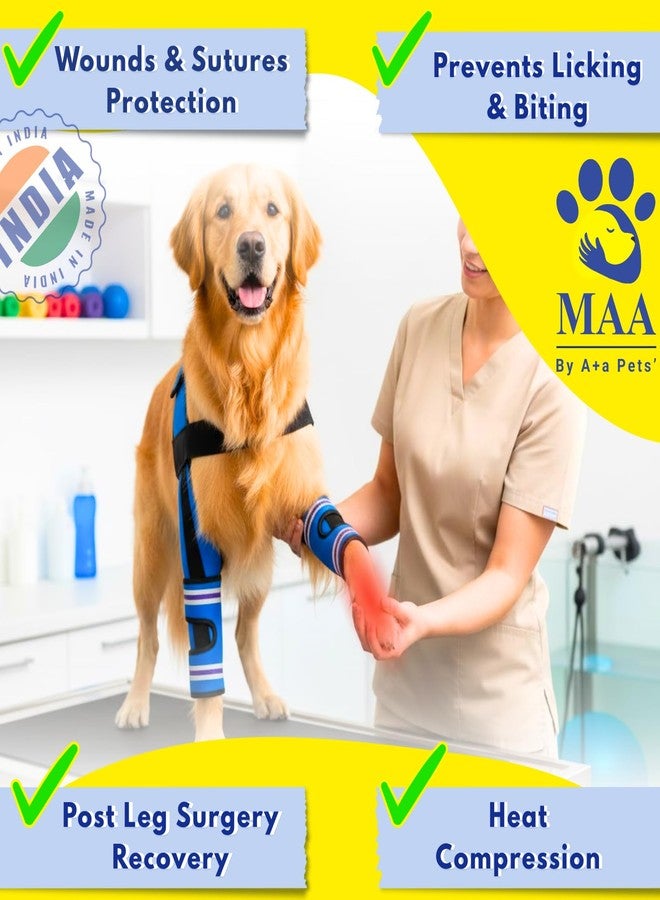 A+a Pets دعامة دعم الكوع والكتف للكلاب من A+a Pets' MAA' - رباط قابل للتعديل للساق الأمامية لالتهاب المفاصل، والتعافي بعد العمليات الجراحية، والمساعدة على الحركة - تصميم يسمح بالتهوية ومضاد للانزلاق (المقاس 2 (L-XL)) - Image 5