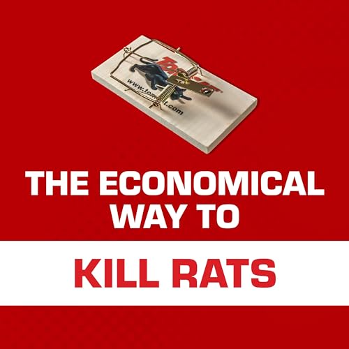 Tomcat Rat Trap (Wooden), 1 Trap - Image 4